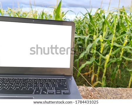 Laptop technology that is used in corn farming
Innovative agriculture for farmers