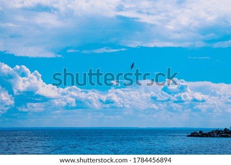  Sky with thick clouds over the blue sea, seagull flying in the sky