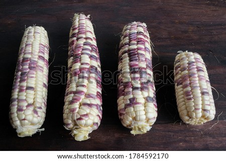 Corn or Waxy Corn on the wood background.