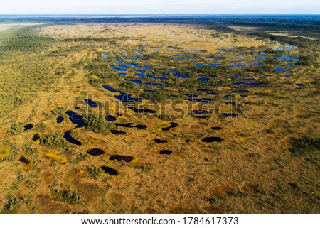 Aerial view of bog ponds in Soomaa National Park in Estonia