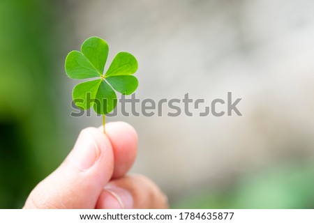 Spring background frame. Lucky Irish Four Leaf Clover. Green background with three-leaved shamrocks. St. Patrick's day holiday symbol. Royalty-Free Stock Photo #1784635877