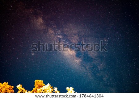 Milky way galaxy and starfield on night sky background, beautiful sky on summer night, bebula outer space wallpaper, close up milky way light and dark, abstract photo for creative graphic design