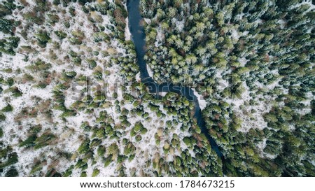 Winter forest with small curving river top down drone aerial view. Winter season.