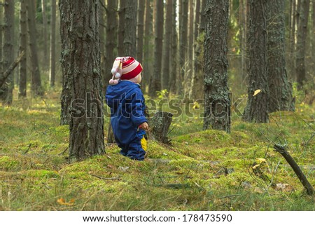 toddler on a walk in the pine forest