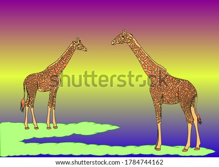 Colorful vector illustration, giraffes on a colored background, postcard, wall background, nature Safari.