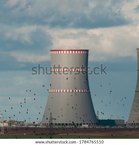 
A flock of birds flies against the background of the cooling tower of a nuclear power plant.