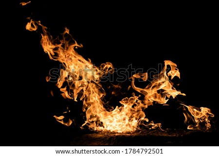 A bright, vibrant orange flame burns, the fire dancing on a black background.