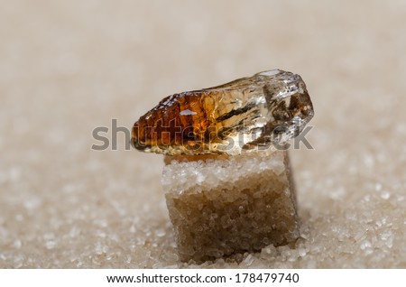 Candle sugar on a cube of brown sugar 