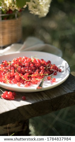 Red currants on a white plate on a wooden Board in the garden in the sun. Lunch in the nature. Concept of eating in nature.
