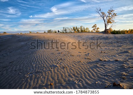 Photographer on the dunes with the natural wavinesses done by the wind on the sand dune
