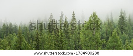 Mountain taiga, a wild place in Siberia. Coniferous forest, morning fog, panoramic view. Royalty-Free Stock Photo #1784900288