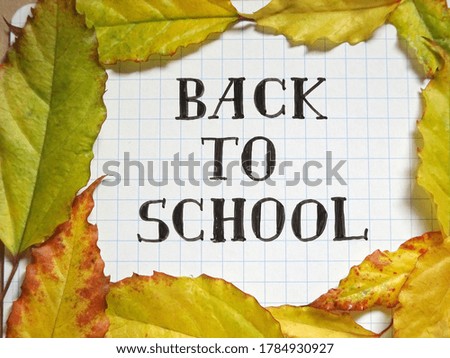 Back to school. Lettering on a white background with autumn leaves