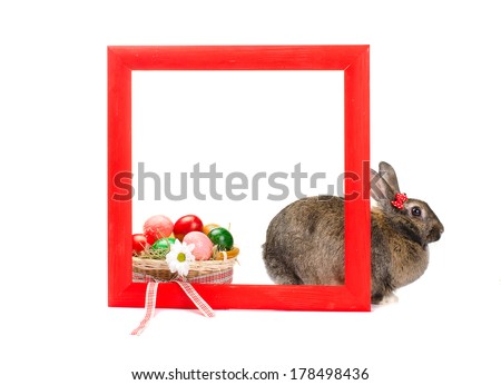 Easter bunny inside painted red wooden frame, isolated on white background