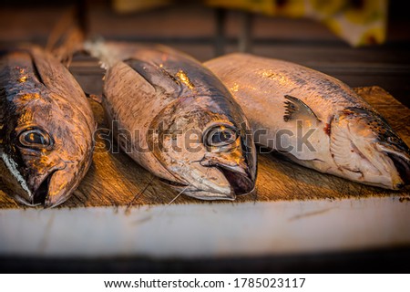 Albacore and cod displayed for sale in a fish market in Riposto