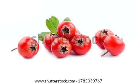 Hawthorn fruits isolated on white backgrounds. Royalty-Free Stock Photo #1785030767