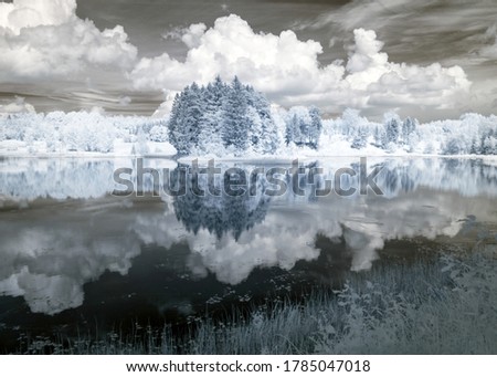 abstract landscape photographed with infrared filter, trees look like in winter, beautiful cloud reflections in the water, surreal landscape