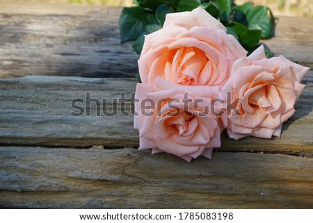 A bouquet of peach-colored roses placed on an old brown wooden floor with two soft sunlight coming down.
