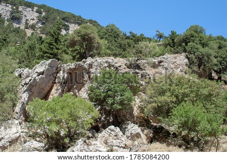Amu Darya gorge, nature reserve, Crete, Greece