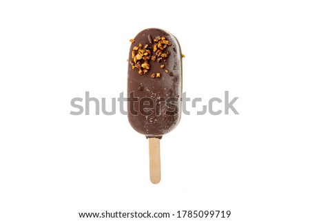 ice cream on a wooden stick on a white background in the studio