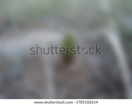 Blurred abstract nature slide background 