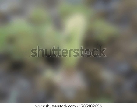Blurred abstract nature slide background 