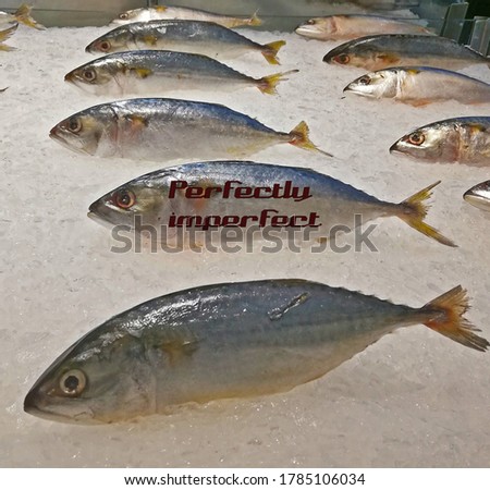 Perfectly imperfect quote in Fresh fish seafood freezing background.
