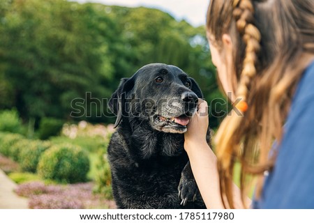 Shot of a Girl with her senior black labrador Royalty-Free Stock Photo #1785117980