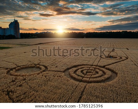 Mysterious crop circle in oat field near the city at the evening sunset Royalty-Free Stock Photo #1785125396