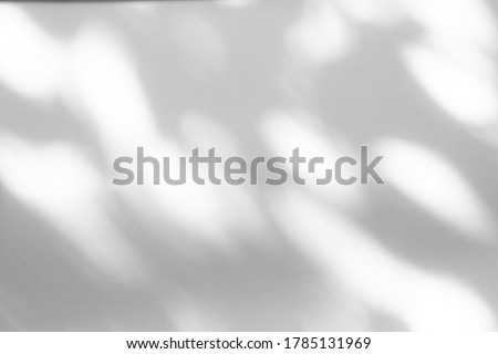 Blurred overlay effect for photo. Organic drop shadow and dappled light on a white wall. Abstract neutral nature concept background for design presentation. Shadows for natural light effects Royalty-Free Stock Photo #1785131969