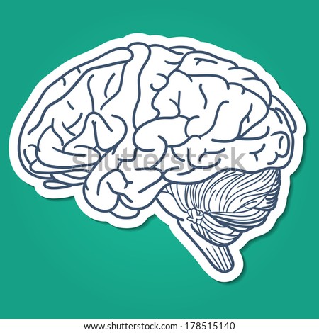 Brain. Sketch sticker element for medical or health care design