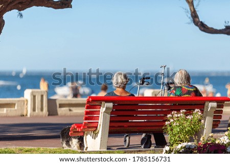 elderly women sitting on a bench looking at the sea