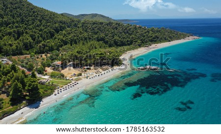 Aerial drone photo of famous turquoise paradise beach of Milia covered with pine trees, Skopelos island, Sporades, Greece
