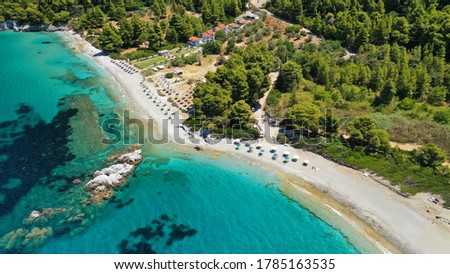 Aerial drone photo of famous turquoise paradise beach of Milia covered with pine trees, Skopelos island, Sporades, Greece