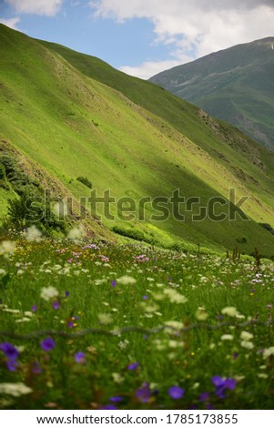 The mountains of North Ossetia, village of Vartse