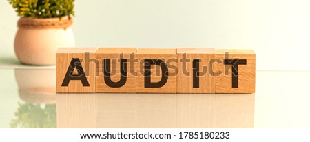 AUDIT word written on wood block on a light background