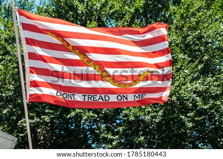 Don't Tread On Me Flag on a Sunny Day