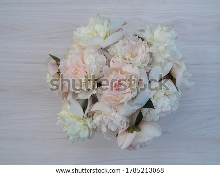 Bouquet of white peonies on a light background, closeup, top view. Romantic flower image for cover design and printing, copy space.