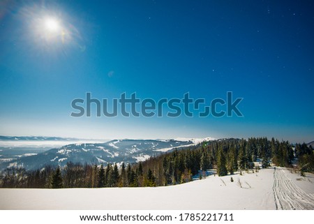 Beautiful slender fir trees grow among snow-covered snowdrifts on a hillside against a background of blue sky and bright moon on a frosty winter night. Concept of resting outside the city in winter