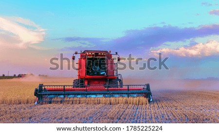 Harvesting grain in the field. Bright, morning, summer landscape with a combine harvester.