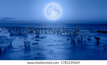 
Fantastic landscape with strange stones in the sea with full moon "Elements of this image furnished by NASA"
