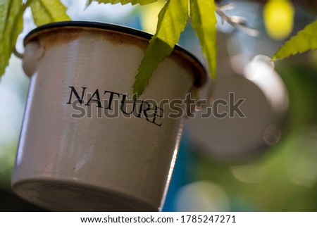 Old coffee cup with a word nature hanging on the tree