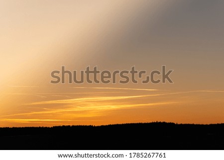 A silhouette of a forest trees at sunset