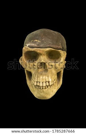 The human skull isolated on black background