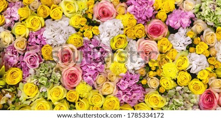 Flowers wall background with amazing yellow and pink roses and hydrangea