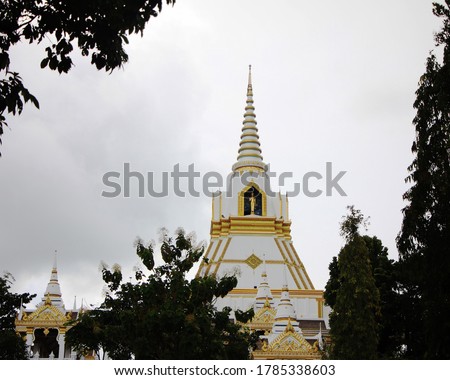 The white pagoda and the surrounding designs are golden. The front shadow of the tree looks blurred to form a picture frame.