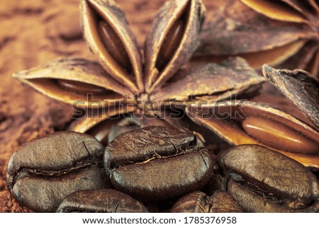 Roasted coffee grains on a background of star anise close-up.