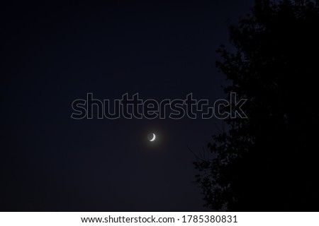 The moon with a tree