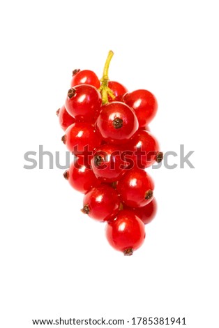 
Red Ribes
isolated on white background. Royalty-Free Stock Photo #1785381941