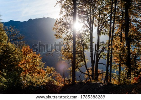 Mountain autumn landscape. The riot of colors of the autumn forest. The whole palette of shades of orange, green and blue. Trees with bright orange leaves bathe in the sunlight.