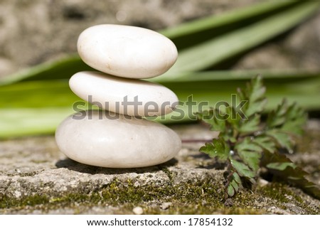 zen Aromatic flower and stones